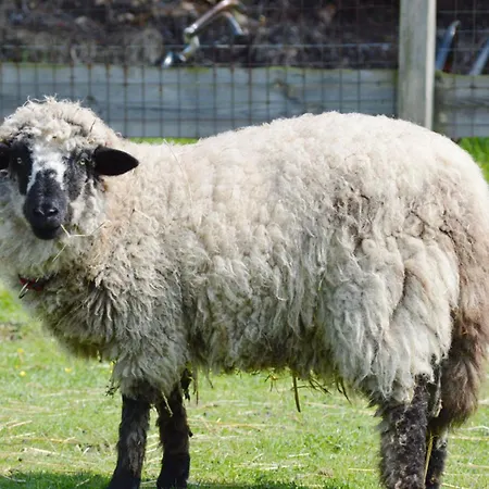 Gartenhaus 3, Inkl 1 Parkplatz Dom wakacyjny *