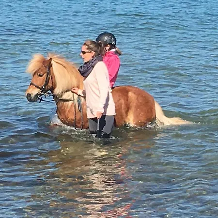 Gartenhaus 3, Inkl 1 Parkplatz Fehmarn