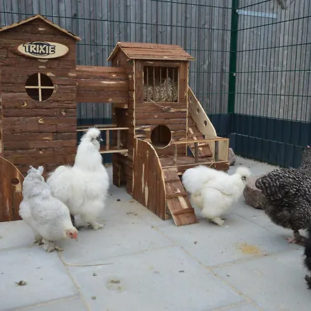 Gartenhaus 3, Inkl 1 Parkplatz * Fehmarn