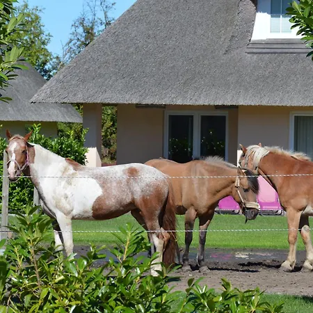 Gartenhaus 3, Inkl 1 Parkplatz *