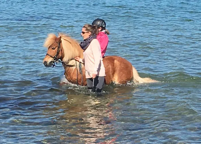 Gartenhaus 3, Inkl 1 Parkplatz Fehmarn